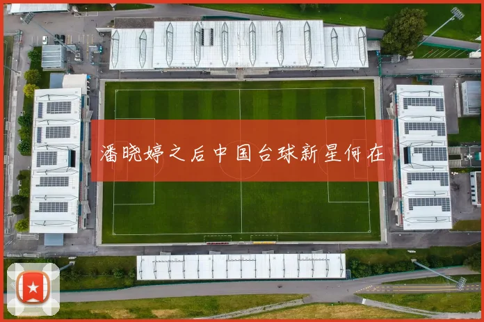 潘晓婷之后中国台球新星何在