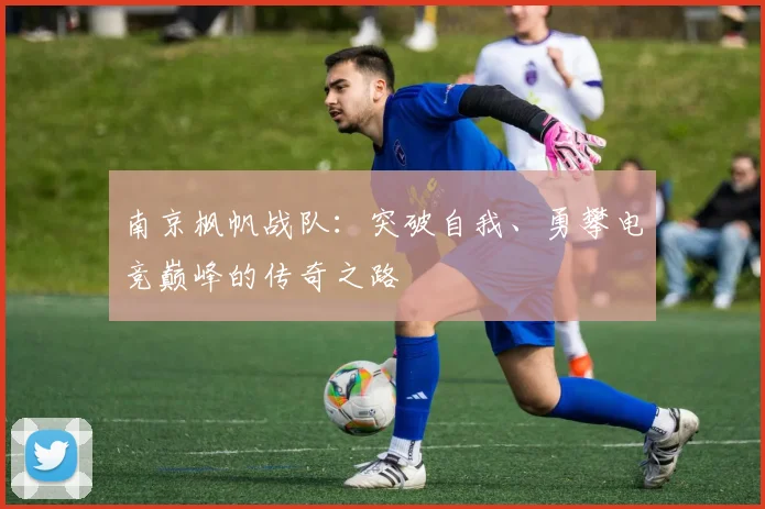 南京枫帆战队：突破自我、勇攀电竞巅峰的传奇之路