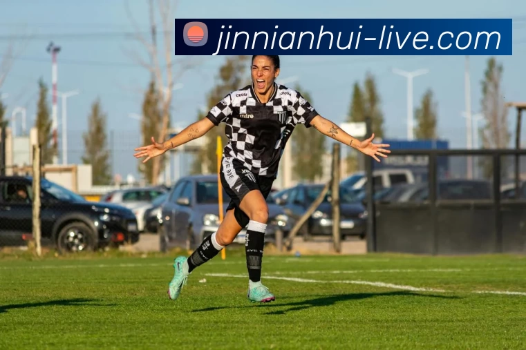 jinnianhui平台生态图